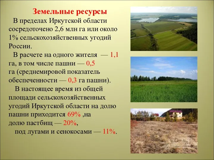 Земельные ресурсы В пределах Иркутской области сосредоточено 2,6 млн га