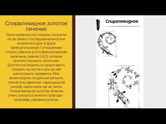 Спиралевидное золотое сечение Свое название эта спираль получила из-за связи