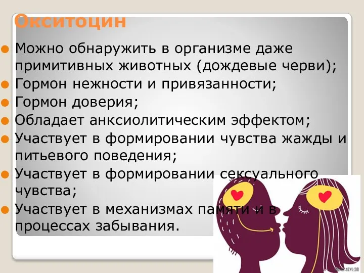 Окситоцин Можно обнаружить в организме даже примитивных животных (дождевые черви);