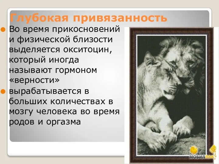 Глубокая привязанность Во время прикосновений и физической близости выделяется окситоцин,