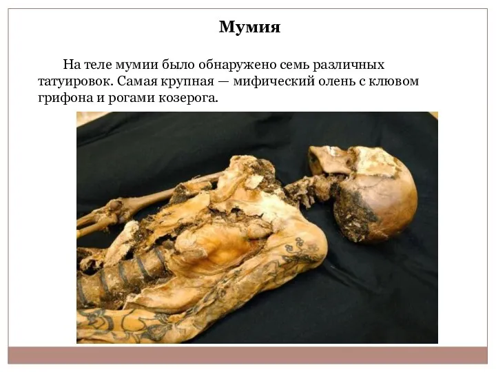 Мумия На теле мумии было обнаружено семь различных татуировок. Самая