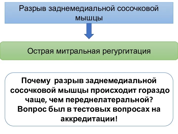 Разрыв заднемедиальной сосочковой мышцы Острая митральная регургитация Почему разрыв заднемедиальной