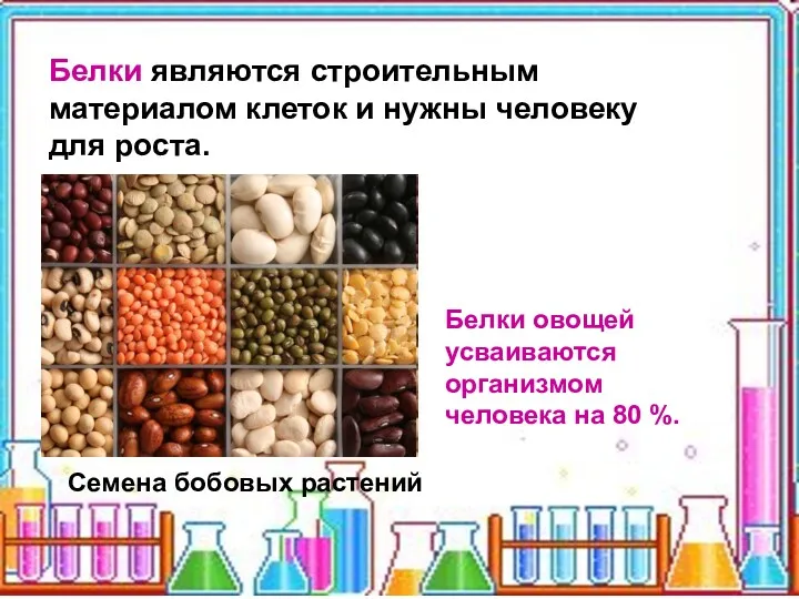 Белки являются строительным материалом клеток и нужны человеку для роста.