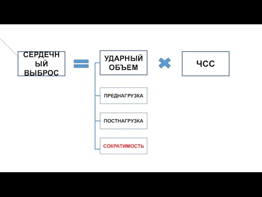 СЕРДЕЧНЫЙ ВЫБРОС ЧСС УДАРНЫЙ ОБЪЕМ ПРЕДНАГРУЗКА СОКРАТИМОСТЬ ПОСТНАГРУЗКА