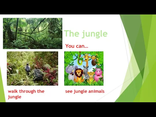 The jungle walk through the jungle You can… see jungle animals