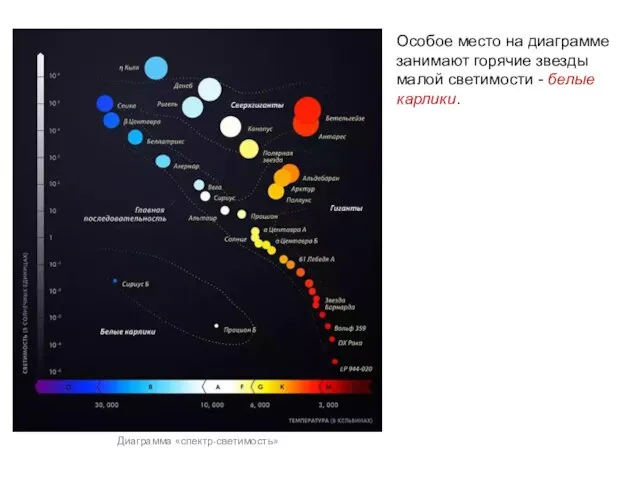 Особое место на диаграмме занимают горячие звезды малой светимости - белые карлики. Диаграмма «спектр-светимость»