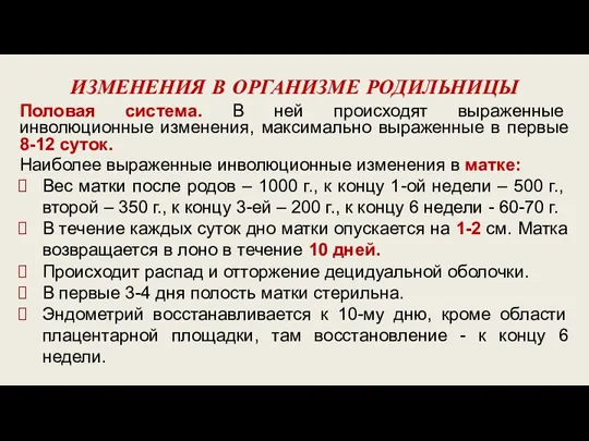 ИЗМЕНЕНИЯ В ОРГАНИЗМЕ РОДИЛЬНИЦЫ Половая система. В ней происходят выраженные