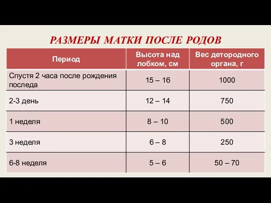 РАЗМЕРЫ МАТКИ ПОСЛЕ РОДОВ