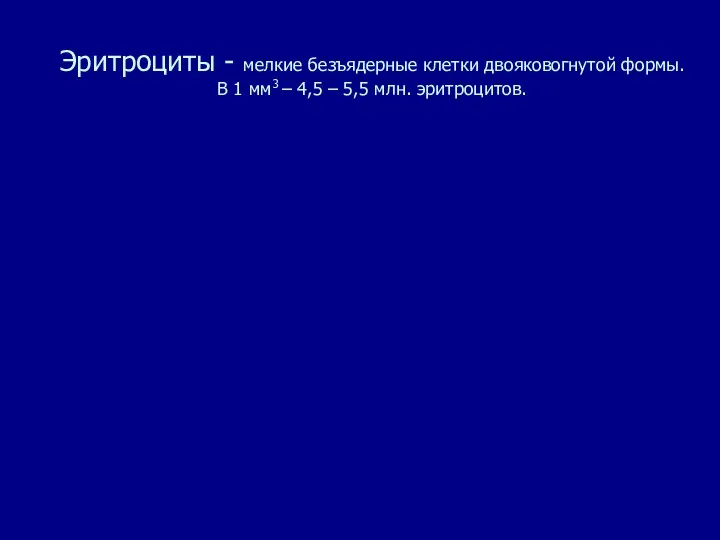 Эритроциты - мелкие безъядерные клетки двояковогнутой формы. В 1 мм3 – 4,5 – 5,5 млн. эритроцитов.