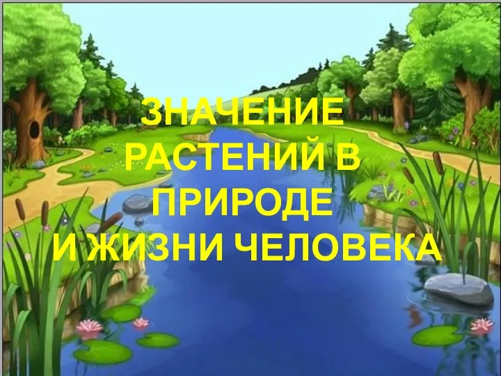 ЗНАЧЕНИЕ РАСТЕНИЙ В ПРИРОДЕ И ЖИЗНИ ЧЕЛОВЕКА