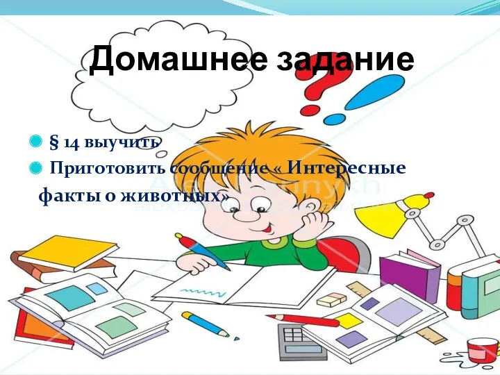 Домашнее задание § 14 выучить Приготовить сообщение « Интересные факты о животных»