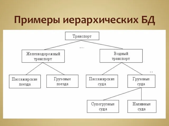 Примеры иерархических БД