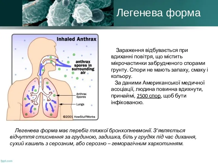 Легенева форма Зараження відбувається при вдиханні повітря, що містить мікрочастинки