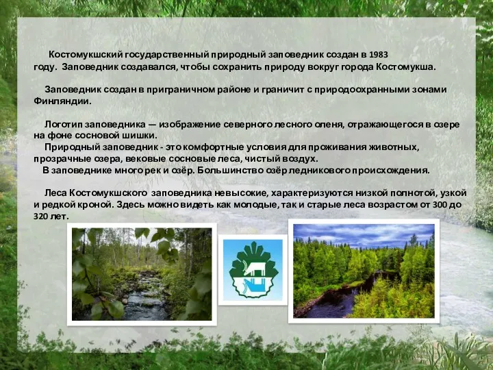 Костомукшский государственный природный заповедник создан в 1983 году. Заповедник создавался,