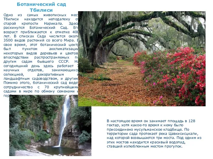Ботанический сад Тбилиси Одно из самых живописных мест Тбилиси находится