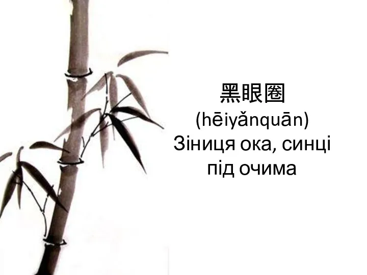 黑眼圈 (hēiyǎnquān) Зіниця ока, синці під очима