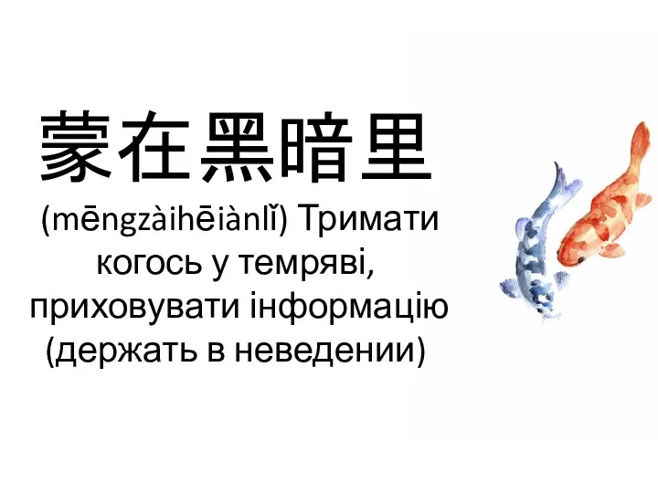 蒙在黑暗里 (mēngzàihēiànlǐ) Тримати когось у темряві, приховувати інформацію (держать в неведении)