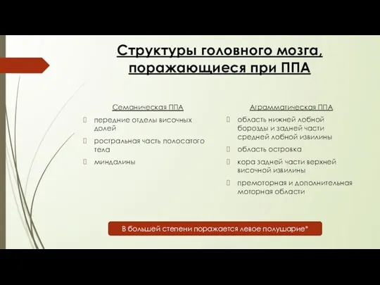 Структуры головного мозга, поражающиеся при ППА Семаническая ППА передние отделы