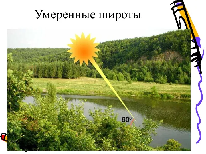 Умеренные широты