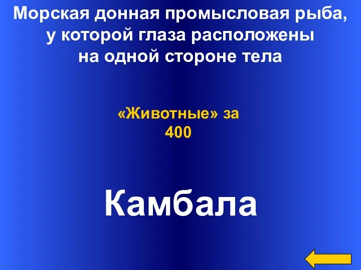 Морская донная промысловая рыба, у которой глаза расположены на одной стороне тела Камбала «Животные» за 400