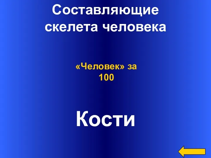 Составляющие скелета человека Кости «Человек» за 100