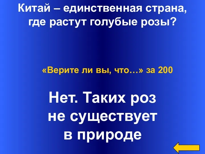 Китай – единственная страна, где растут голубые розы? Нет. Таких