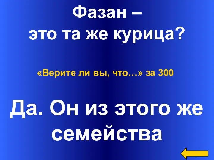 Фазан – это та же курица? Да. Он из этого же семейства «Верите