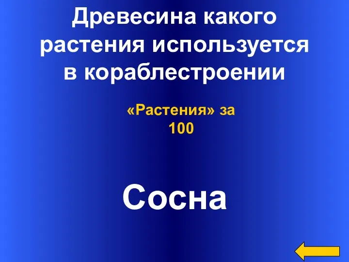 Древесина какого растения используется в кораблестроении Сосна «Растения» за 100