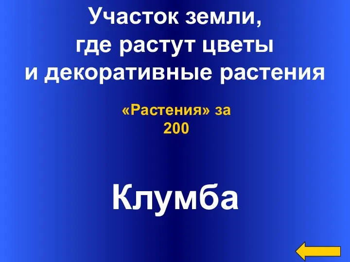 Участок земли, где растут цветы и декоративные растения Клумба «Растения» за 200