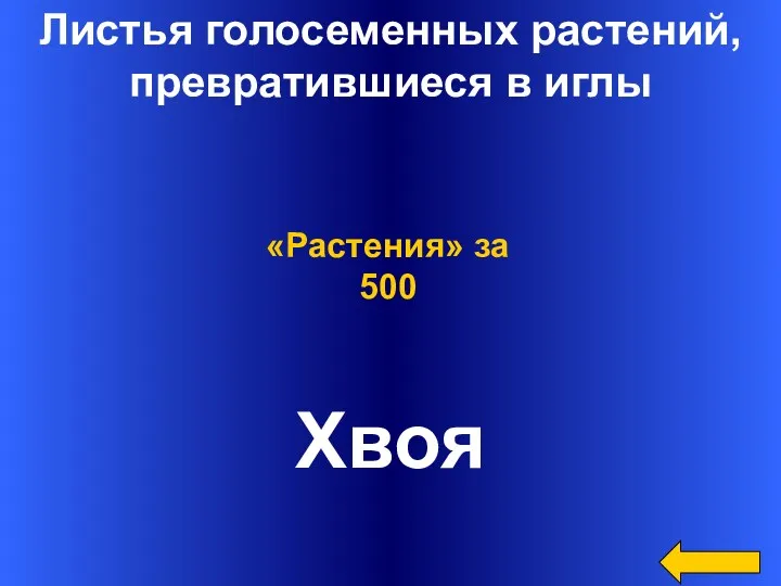 Листья голосеменных растений, превратившиеся в иглы Хвоя «Растения» за 500