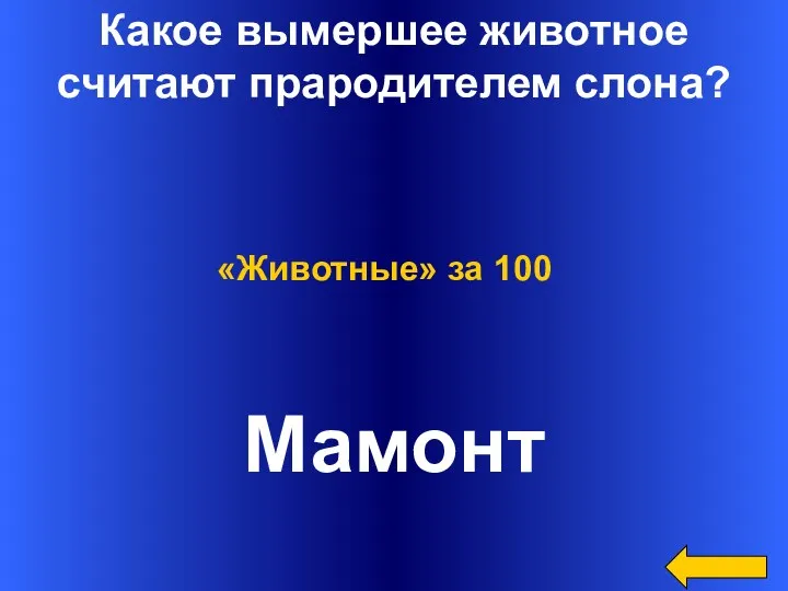 Какое вымершее животное считают прародителем слона? Мамонт «Животные» за 100