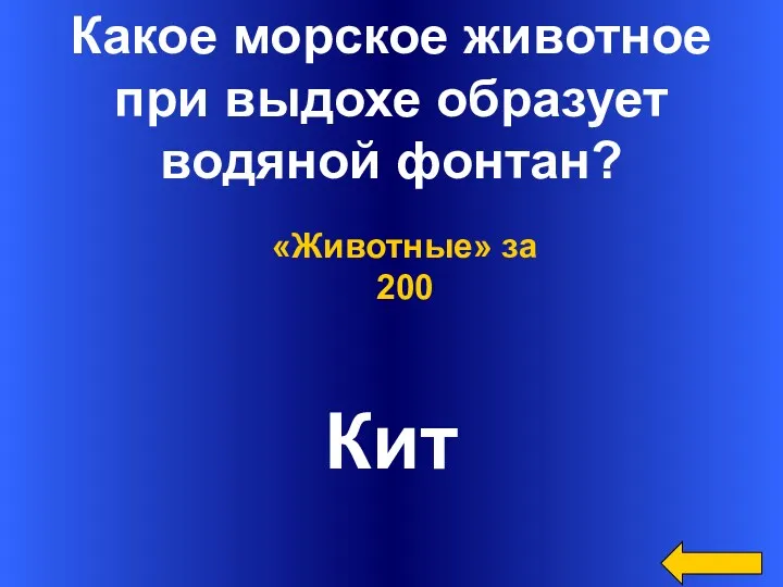 Какое морское животное при выдохе образует водяной фонтан? Кит «Животные» за 200