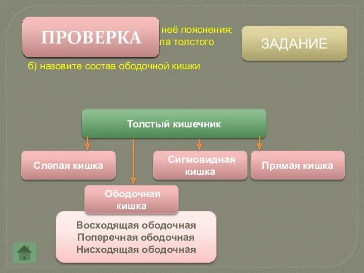 ЗАДАНИЕ Заполните схему, внесите в неё пояснения: а) перечислите четыре