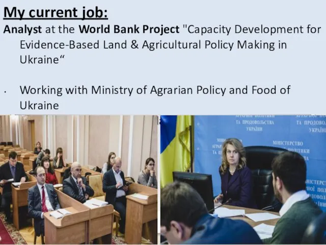 My current job: Analyst at the World Bank Project "Capacity