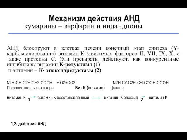 Механизм действия АНД АНД блокируют в клетках печени конечный этап синтеза (Y-карбоксилирование) витамин-К-зависимых