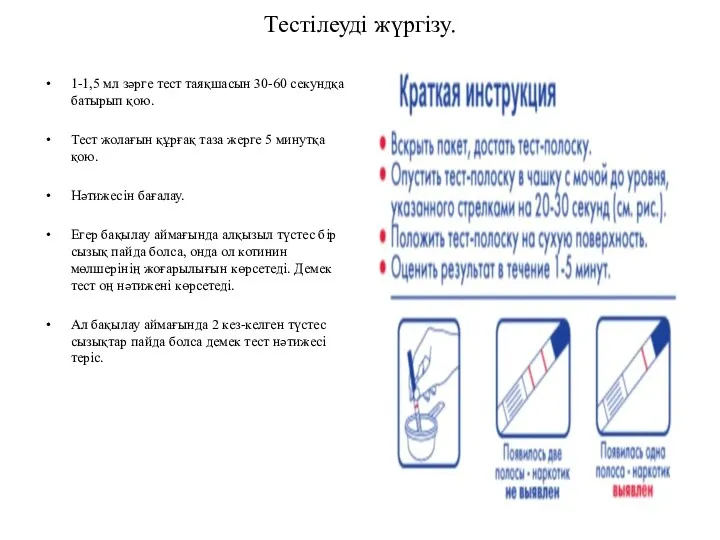 Тестілеуді жүргізу. 1-1,5 мл зәрге тест таяқшасын 30-60 секундқа батырып