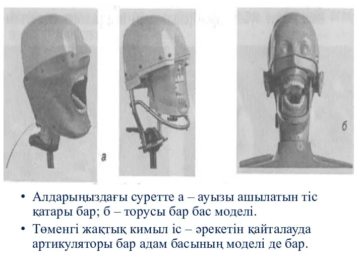 Алдарыңыздағы суретте а – ауызы ашылатын тіс қатары бар; б