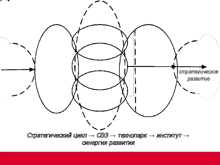 Стратегический цикл → ОЭЗ → технопарк → институт → синергия развития