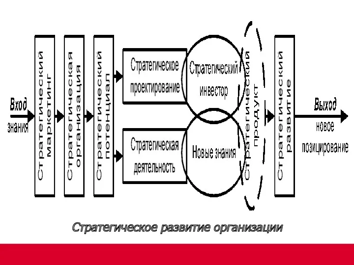 Стратегическое развитие организации