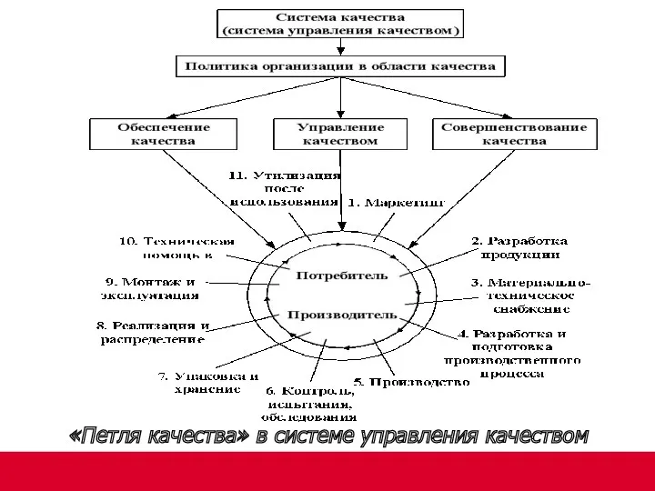 «Петля качества» в системе управления качеством