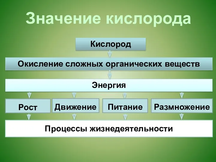 Рост Движение Питание Размножение Процессы жизнедеятельности Кислород Окисление сложных органических веществ Энергия Значение кислорода