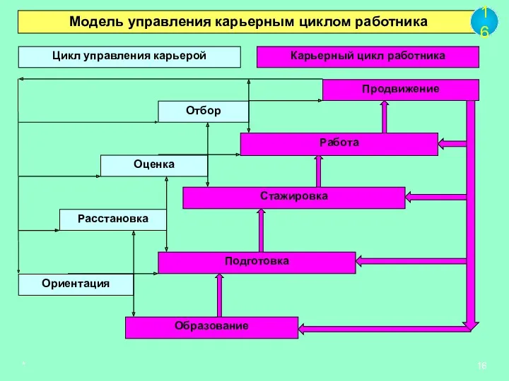 * Цикл управления карьерой Отбор Работа Стажировка Подготовка Карьерный цикл