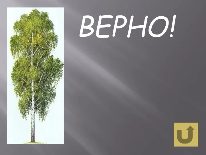 ВЕРНО!