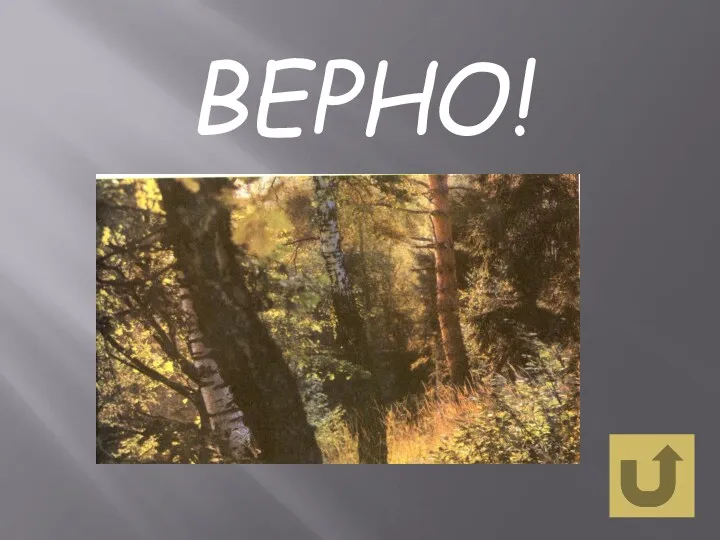 ВЕРНО!