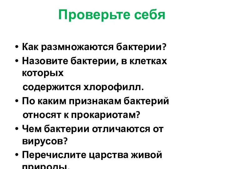 Проверьте себя Как размножаются бактерии? Назовите бактерии, в клетках которых