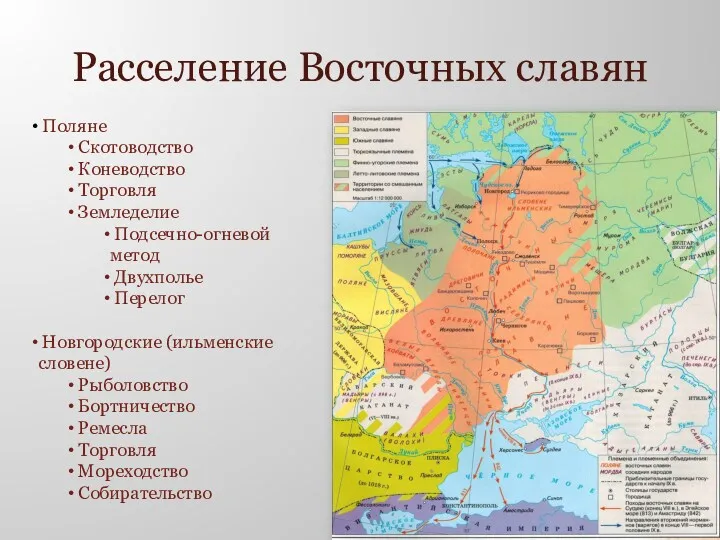 Расселение Восточных славян Поляне Скотоводство Коневодство Торговля Земледелие Подсечно-огневой метод