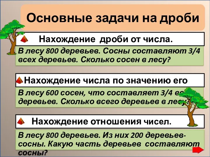 Основные задачи на дроби В лесу 800 деревьев. Сосны составляют 3/4 всех деревьев.