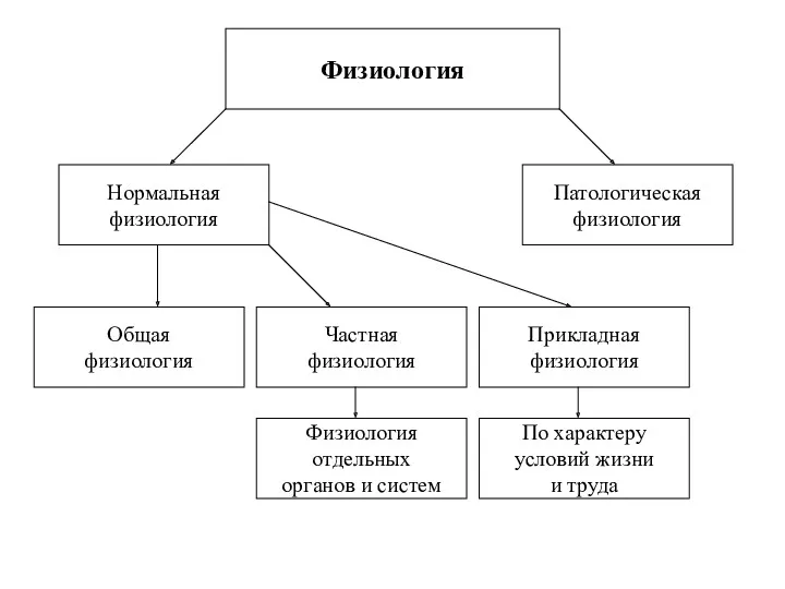 Физиология Общая физиология Частная физиология Прикладная физиология Нормальная физиология Патологическая