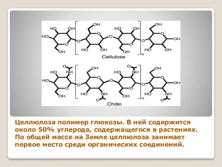 Целлюлоза полимер глюкозы. В ней содержится около 50% углерода, содержащегося