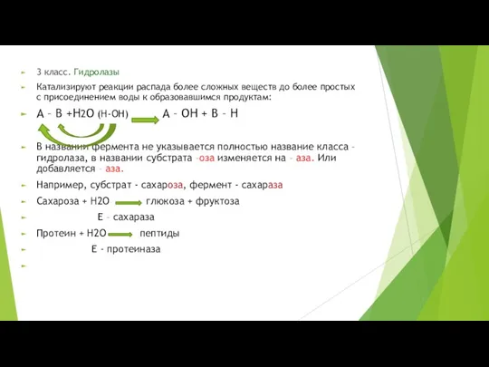 3 класс. Гидролазы Катализируют реакции распада более сложных веществ до